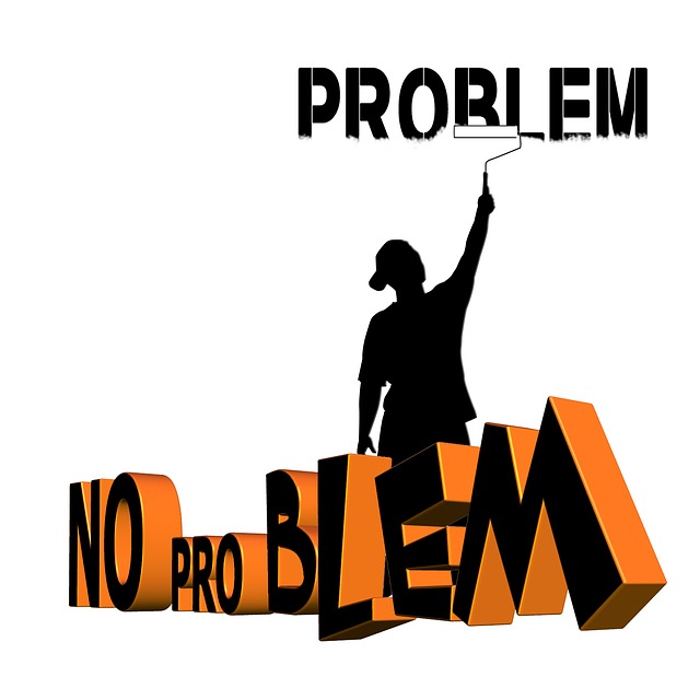problém